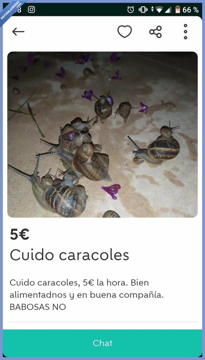 caracoles,babosas,wallapop