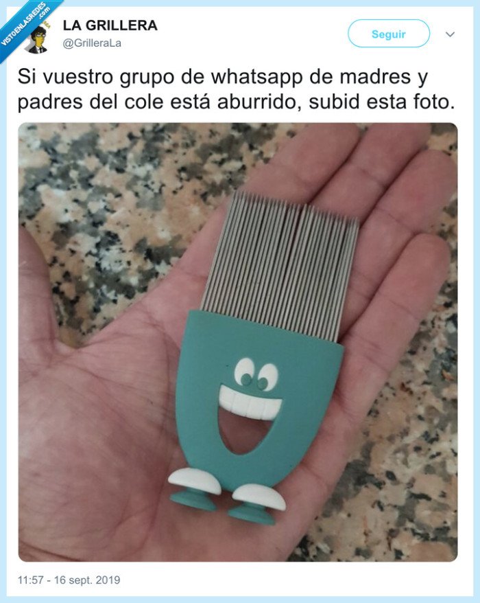 piojos,grupo,whatsapp,padres