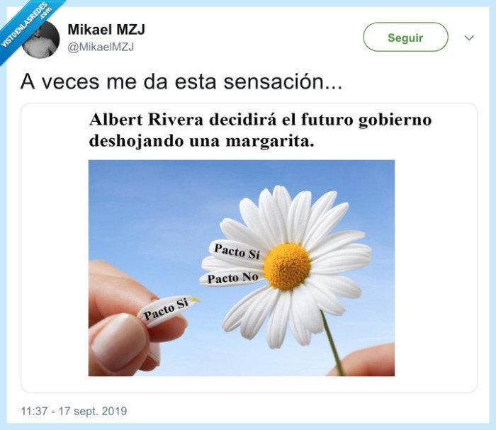 Veleta Trilero Gobierno Naranjito Margarita