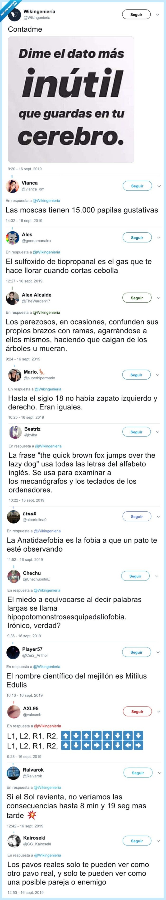 datos,absurdos,reales