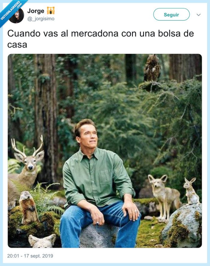 bolsas,plástico,mercadona,reciclar,schwarzenegger