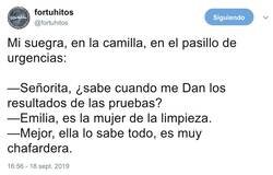 Enlace a Son un gran pozo de sabiduría, por @fortuhitos
