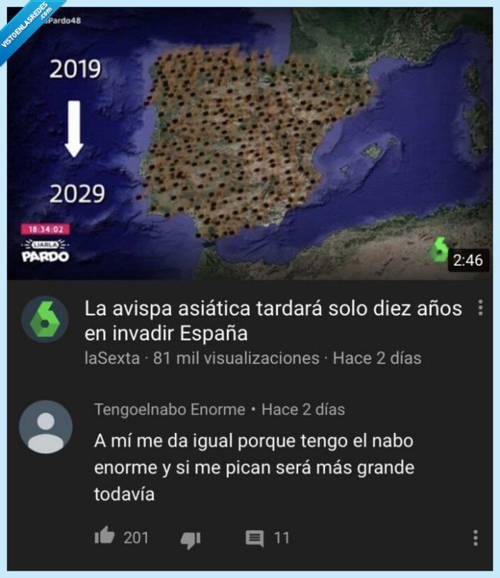 abeja,invasi&oacute;n,espa&ntilde;a,rabo