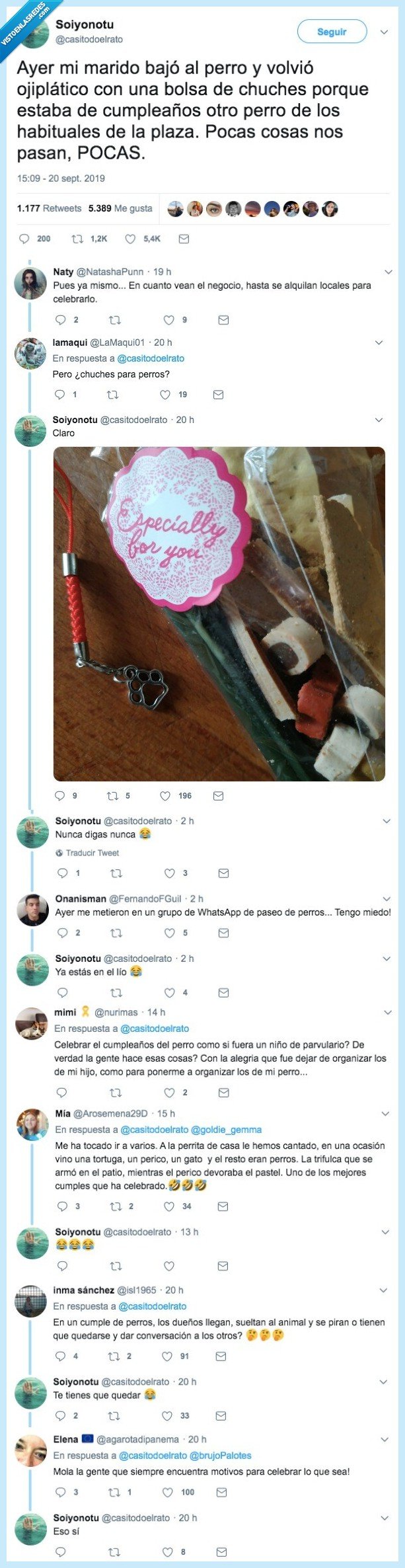 perro,cumpleaños,chuches