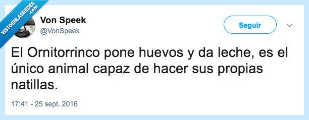 natillas,huevo,leche,ornitorrinco