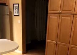 Enlace a Espectacular vídeo de la captura de un peligroso delincuente instantes después de cometer el delito