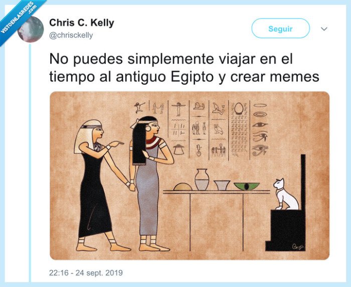 meme,gato blanco,egipto