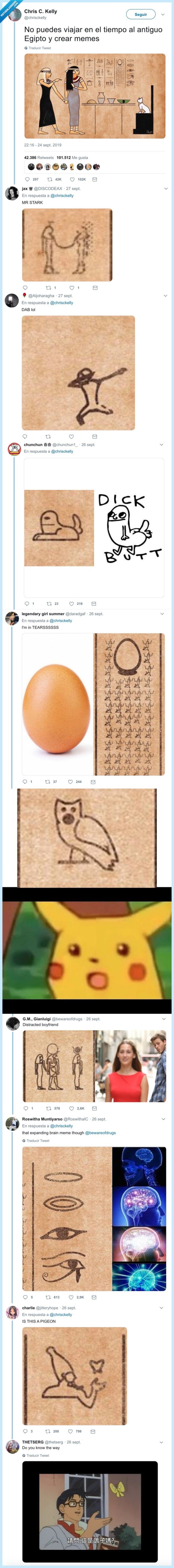 egipto,meme,gato blanco,memes