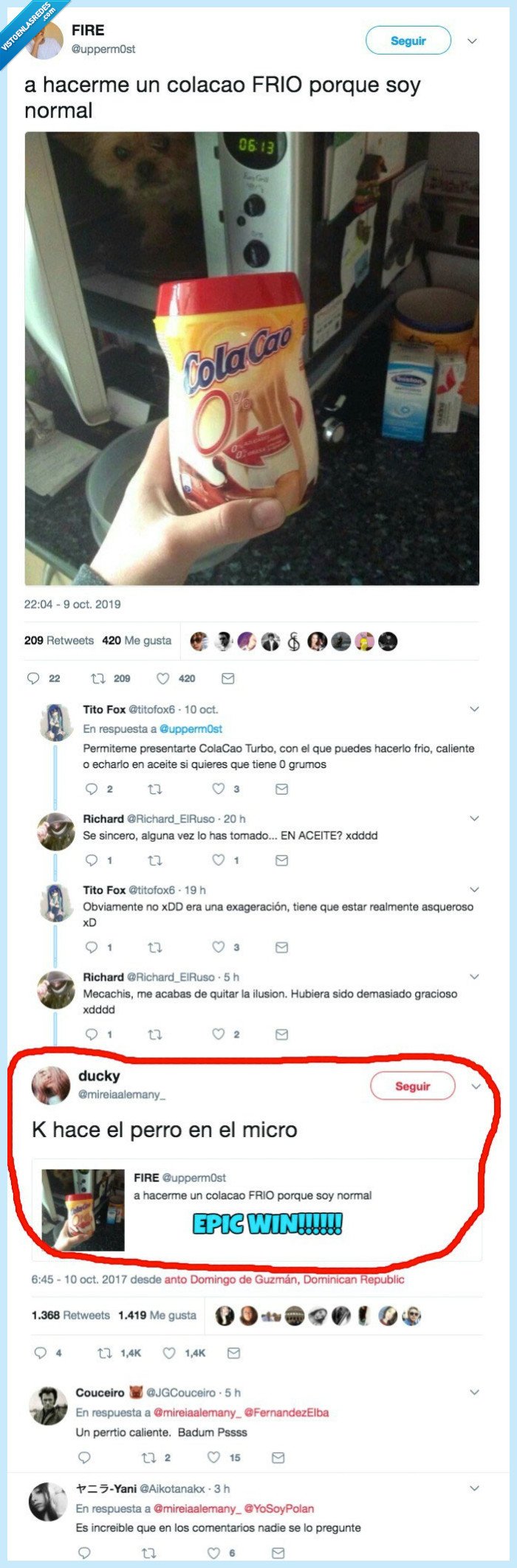 gente,observadora,perro