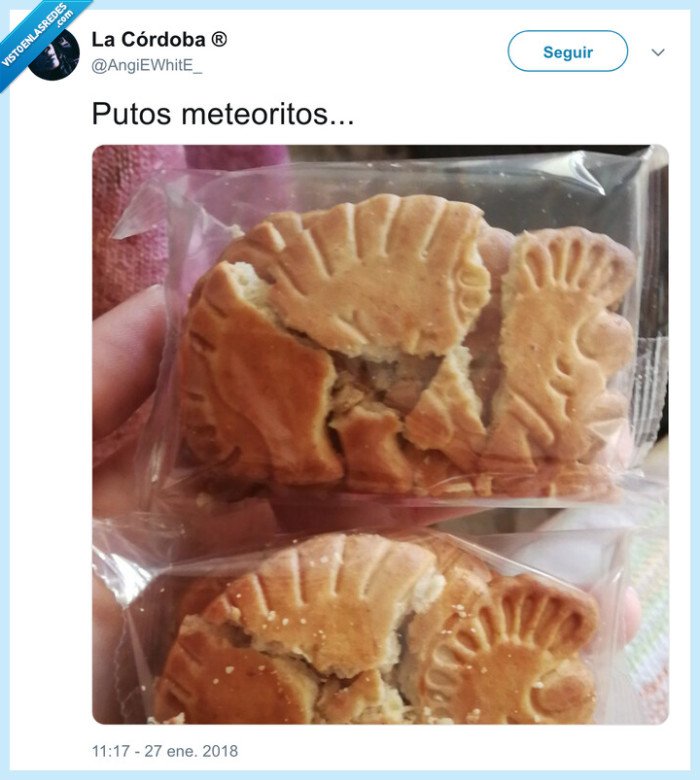 dinousaurus,galletas,rotos,meteoritos
