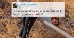 Enlace a La gente no tiene pelos en la lengua y responden con ingenio lo que le harían si se la encontraran, por @LayayaCarmen45