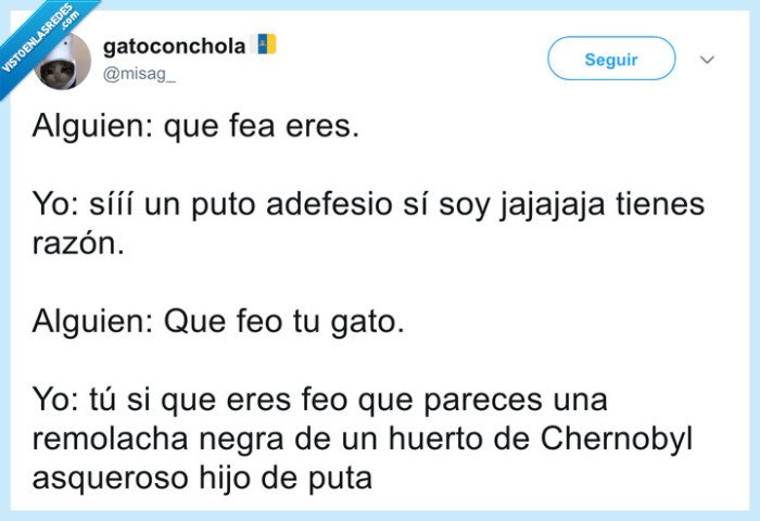 gato,feo,insulto,mascota