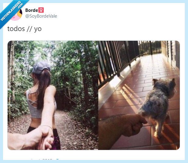 todos,yo,amor,mascota