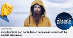 Enlace a Según Wilkinson, los hombres con barba tienen el miembro más pequeño. La que se lía en los comentarios