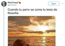 Enlace a Se le ve afectado, por @pinkfreudz