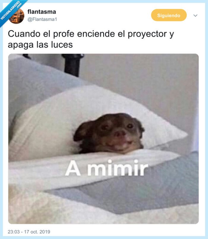 dormir,clase,proyector,profesor