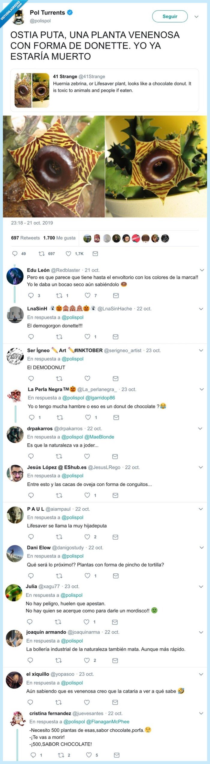 donette,planta,chocolate