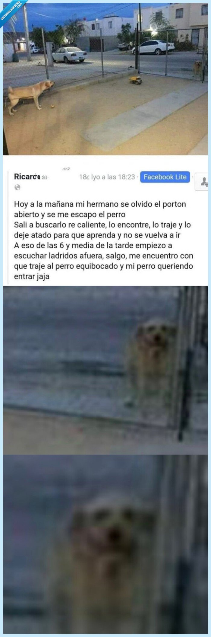 perro,escaparse,valla,iguales