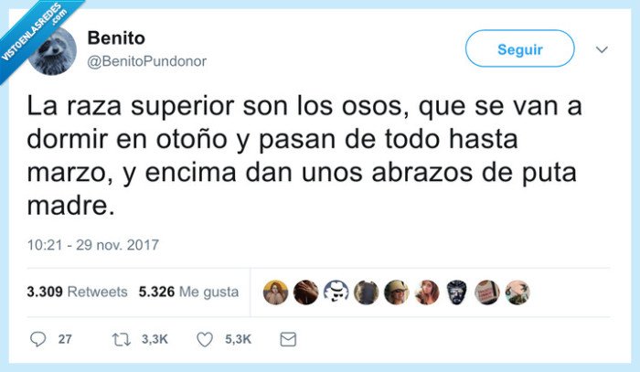 osos,dormir,siesta,abrazos