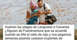Enlace a La fácil solución mexicana al problema de lluvia de langostas que hay en Canarias