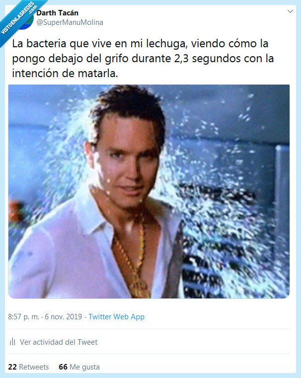 lechuga,bacteria,limpiar,grifo,mark hoppus,blink 182,all the small things