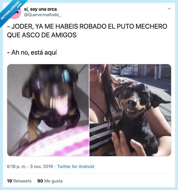 perro,ladrar,enfaddo,enfado,loco,mechero,robar