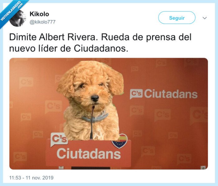 perro,ciudadanos,elecciones