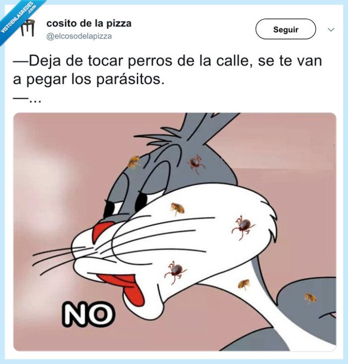 perro,tocar,acariciar