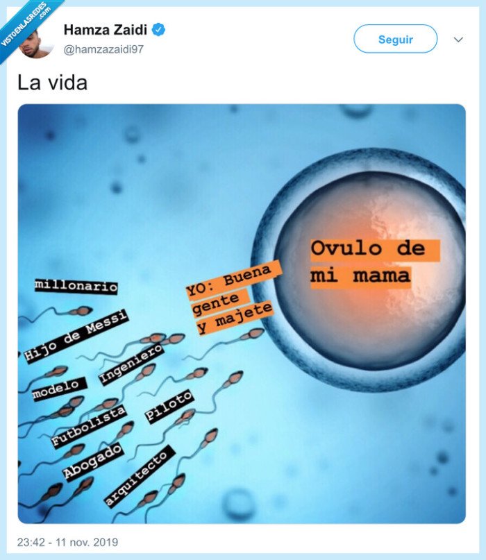 &oacute;vulo,fecundar,espermatozoide