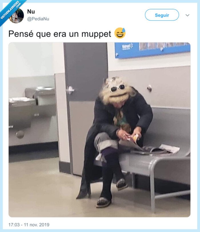 muppet,pelo,mujer,teleñeco