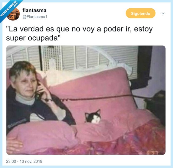 ocio,ocupada,cama