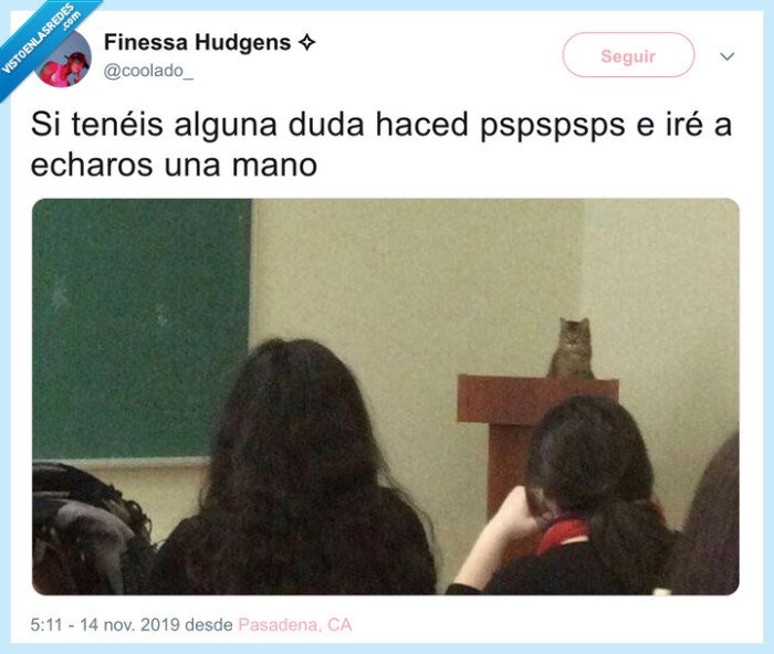 pspspssss,gato,profesor