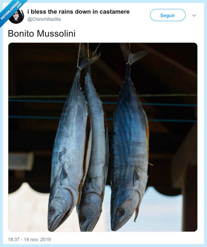 benito Mussolini,bonito,pez