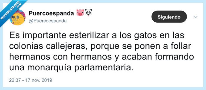 gatos,esterilizar,monarquía