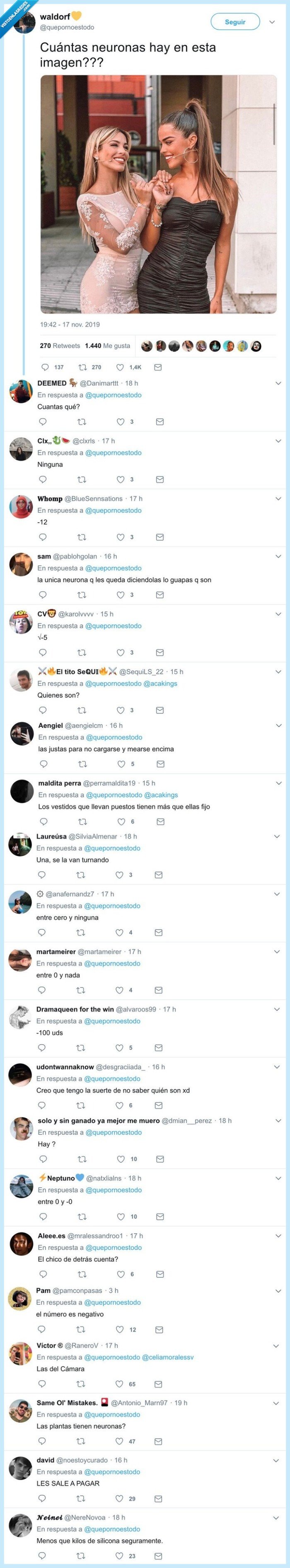 neuronas,famosas,celebrities,wtf