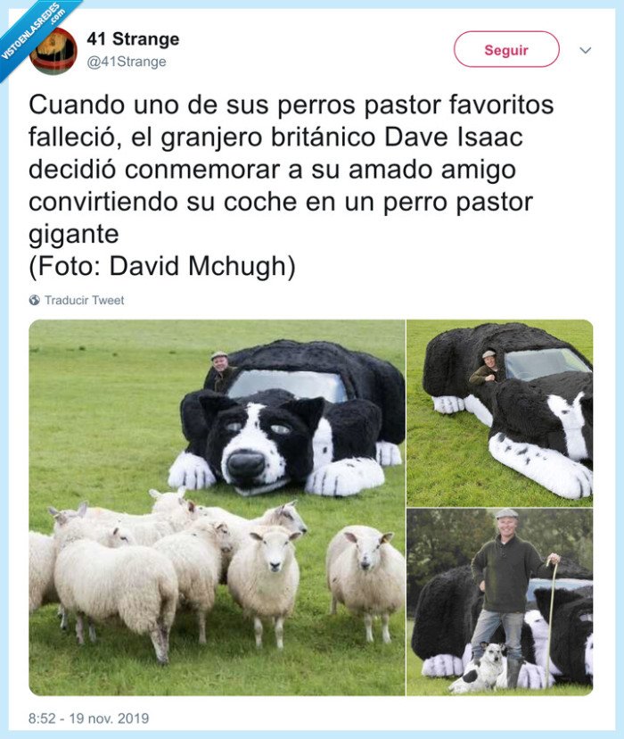 ovejas,coche,pastor,perro,dep