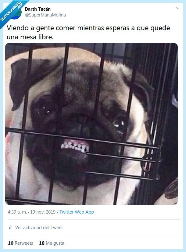 mesa,comer,gente,libre