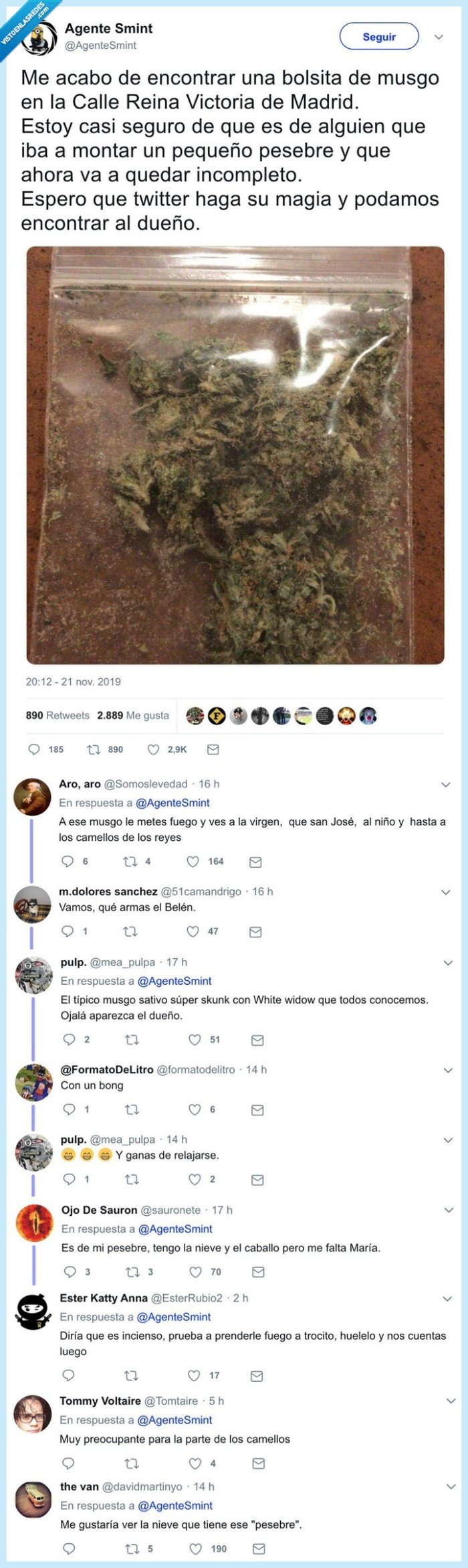 musgo,maría,encontrar