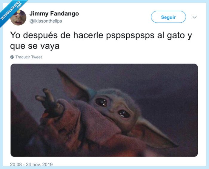 yoda,gato,pssss