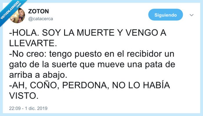 suerte,gato,accidente