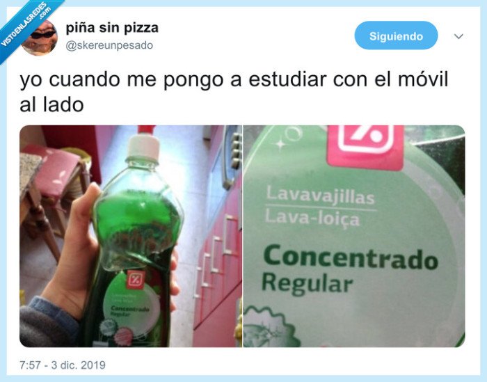 concentrado regular,estudiar,concentrarse