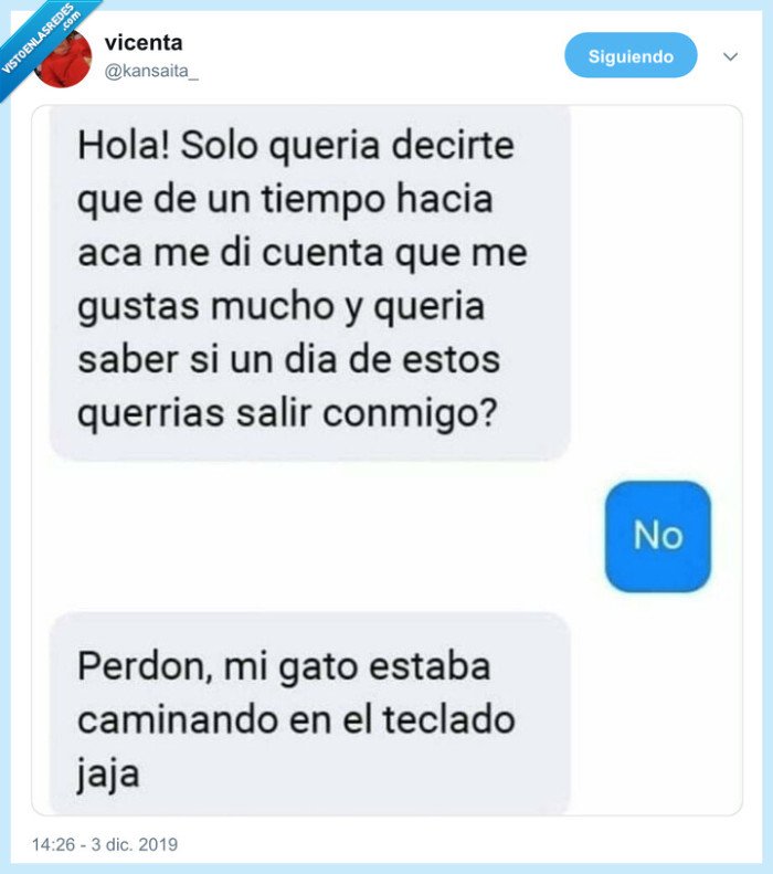 gato,ligar,excusa,teclado