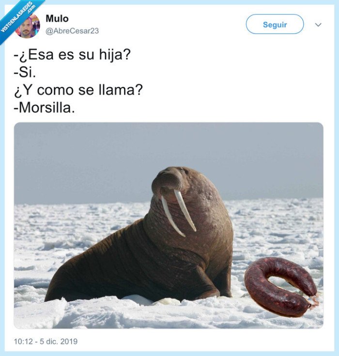 morsa,chistaco,morcilla,morsilla,entrevistas