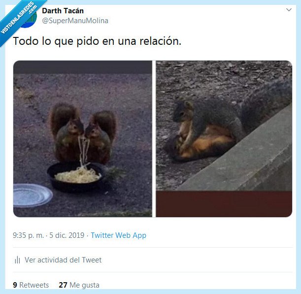 relación,ardillas,pedir