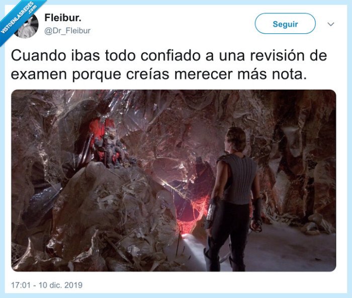 revisión,examen