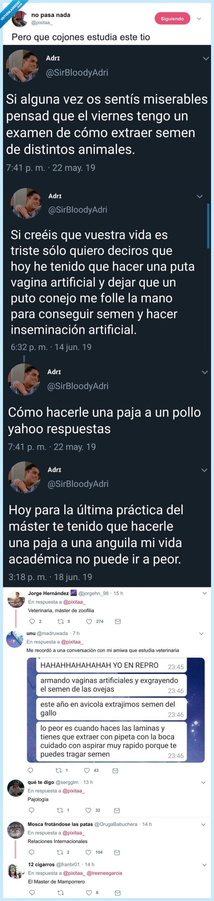 estudios,wtf,zoo,veterinaria