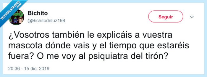 saludar,despedir,mascotas