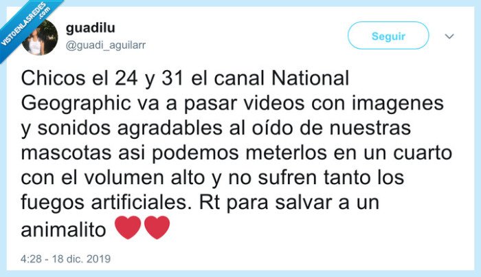 mascotas,sufrir,ruidos,fuegos artificiales