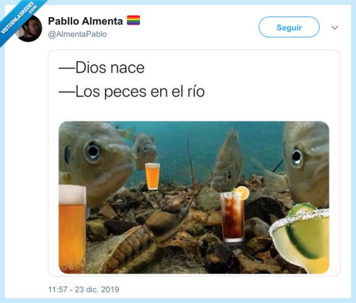 peces,río,beben,cubatas,peces en el río,villancico