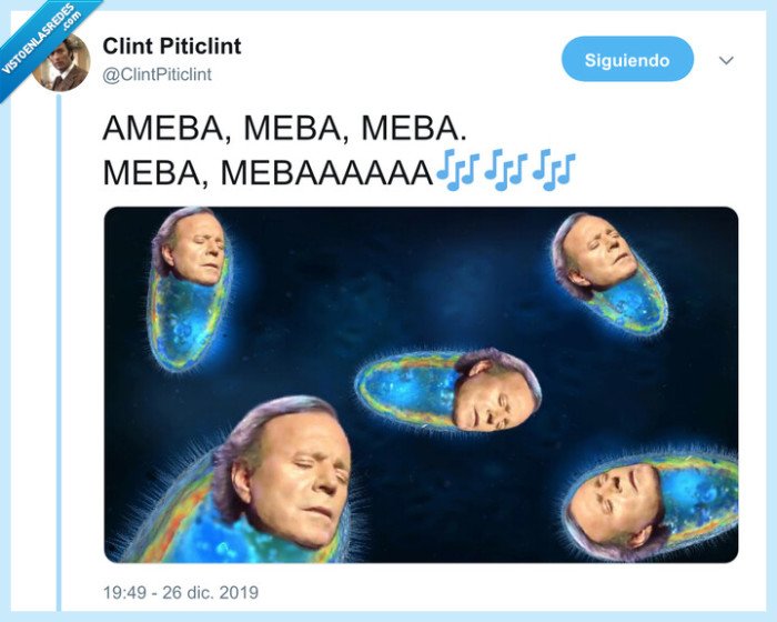 ameba,me va me va,julio iglesias